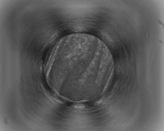 X0000091000214200708241457