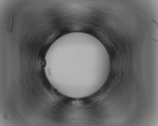 X0000091000216200708241457