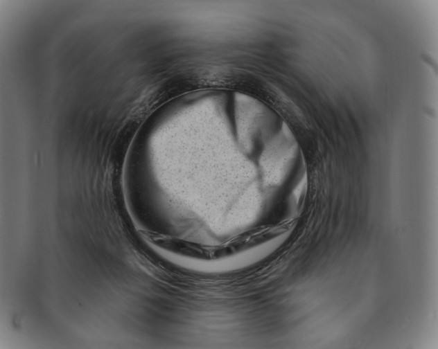 X0000091000217200708241457