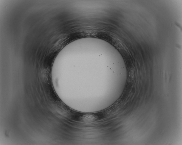 X0000091000218200708241457