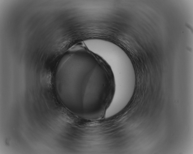 X0000091000219200708241457