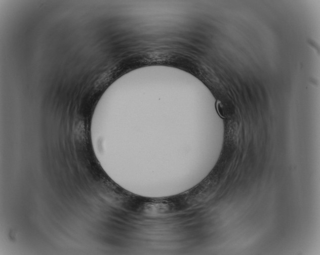 X0000091000220200708241457