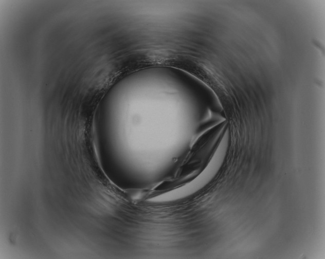 X0000091000221200708241457