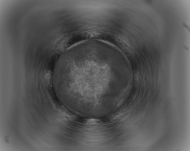 X0000091000222200708241457