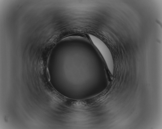 X0000091000223200708241457