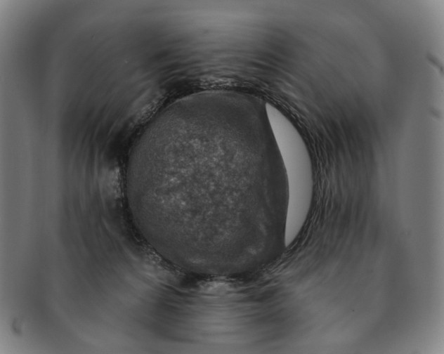 X0000091000224200708241457