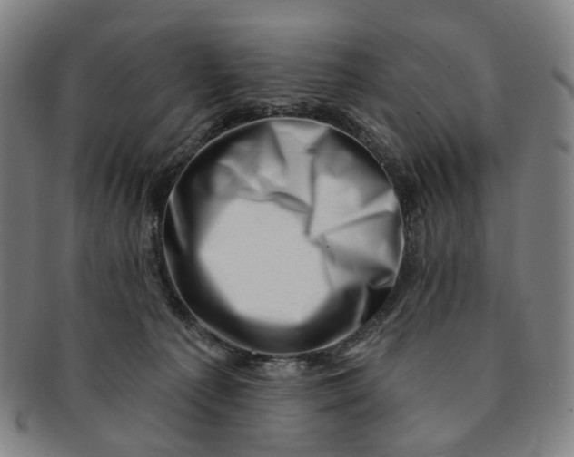 X0000091000225200708241457