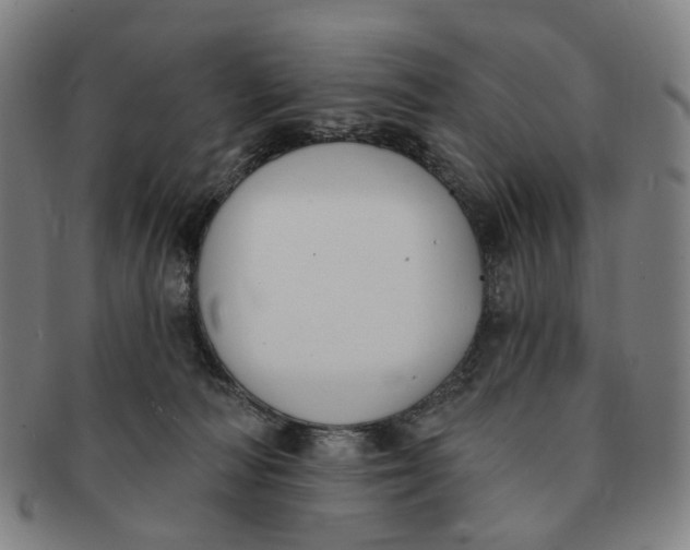 X0000091000226200708241457