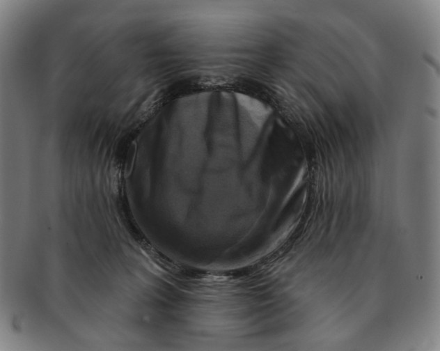 X0000091000227200708241457