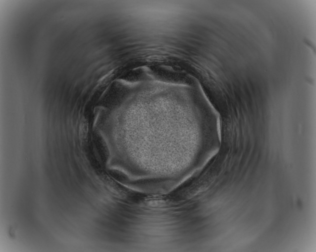 X0000091000228200708241457