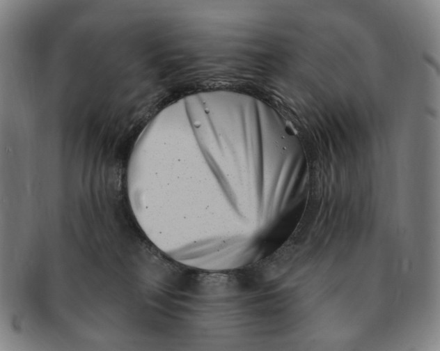 X0000091000230200708241457