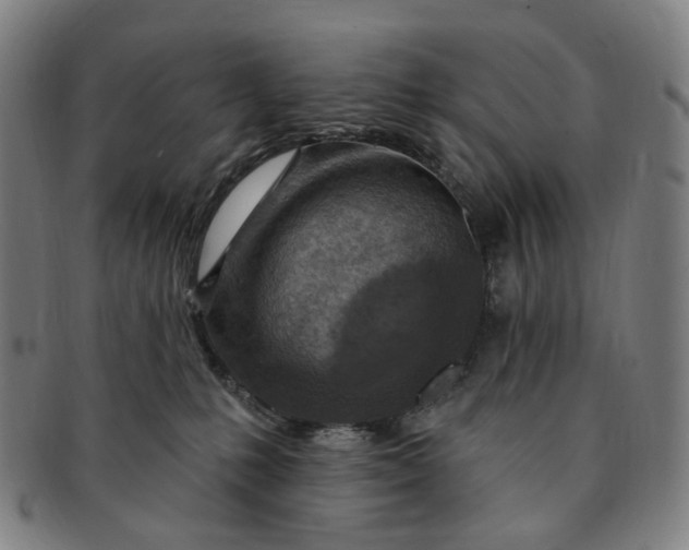 X0000091000231200708241457