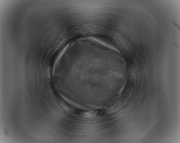 X0000091000232200708241457