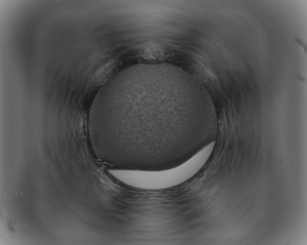 X0000091000233200708241457