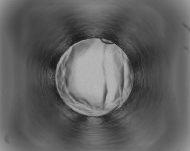 X0000091000234200708241457