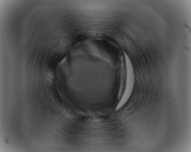 X0000091000235200708241457