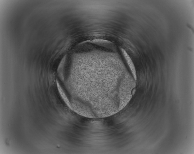 X0000091000236200708241457