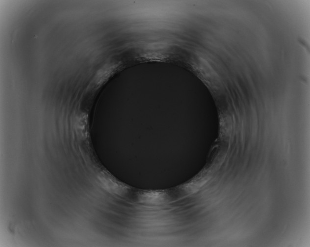 X0000091000237200708241457