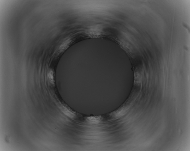 X0000091000238200708241457