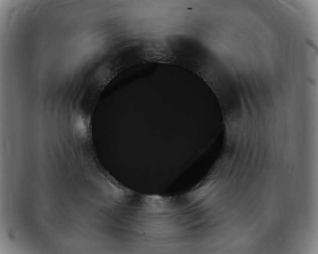 X0000091000239200708241457