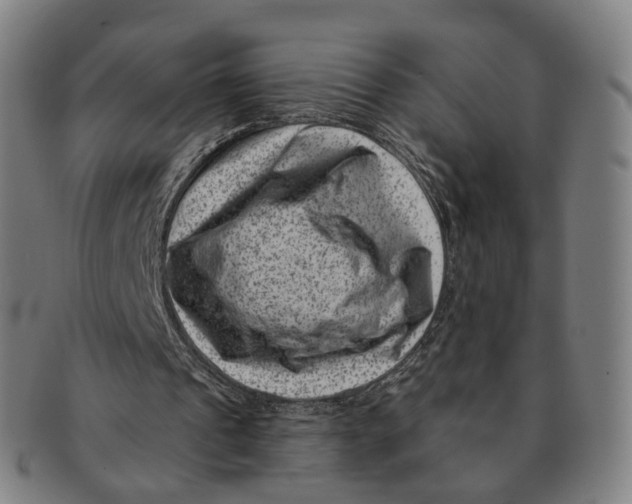 X0000091000241200708241456