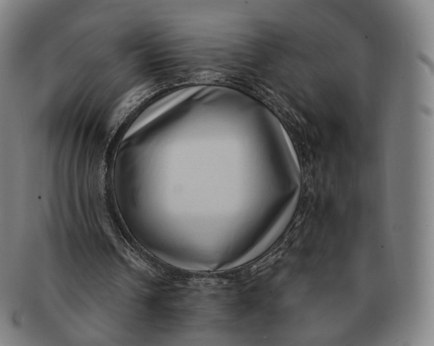 X0000091000242200708241456