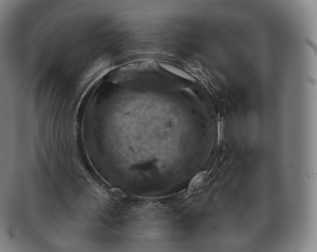 X0000091000243200708241456