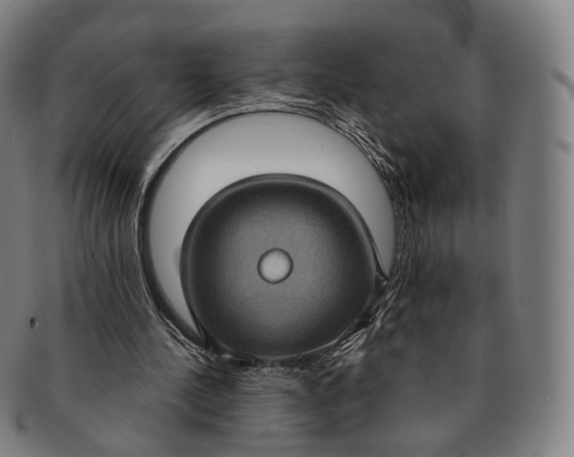 X0000091000244200708241456