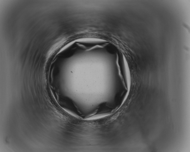 X0000091000245200708241456