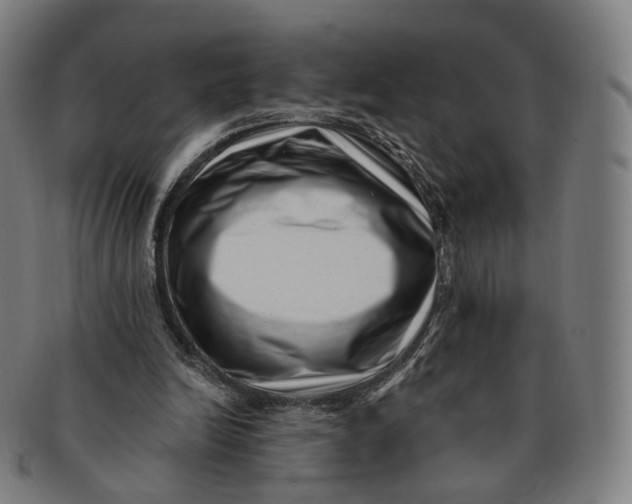 X0000091000246200708241456