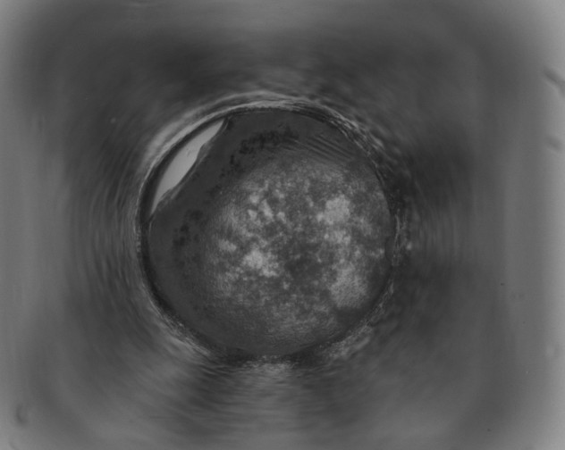 X0000091000247200708241456