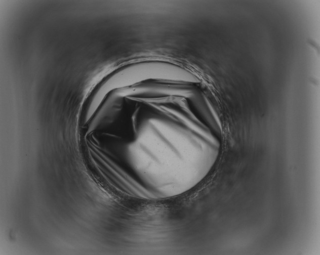 X0000091000248200708241456