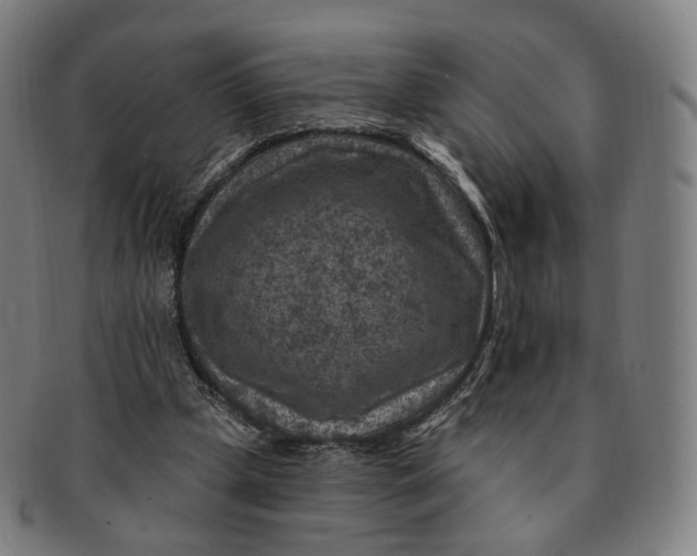 X0000091000249200708241456