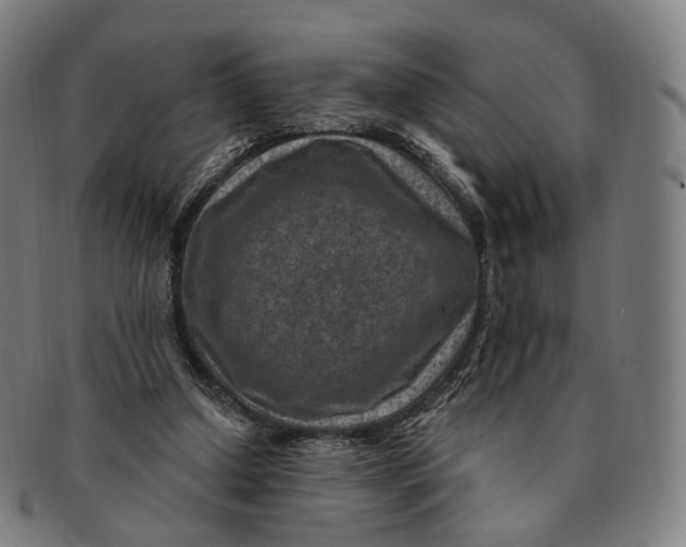 X0000091000250200708241456