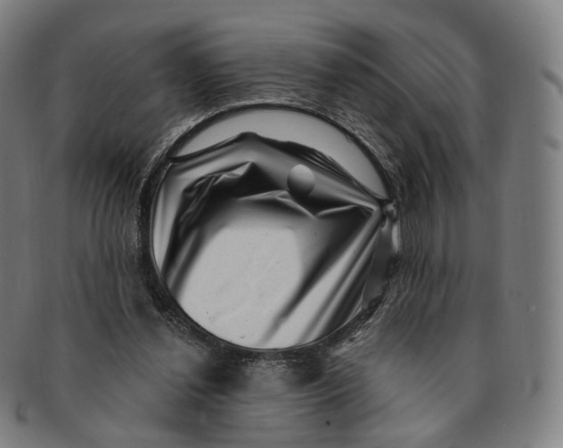 X0000091000252200708241456