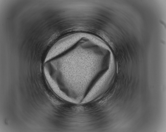 X0000091000253200708241456