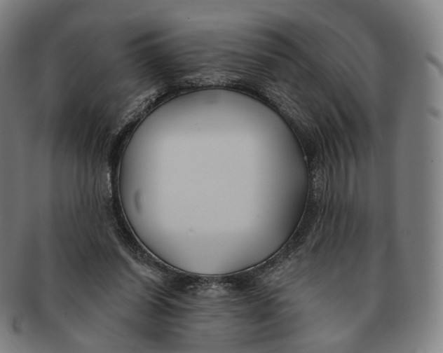 X0000091000254200708241456