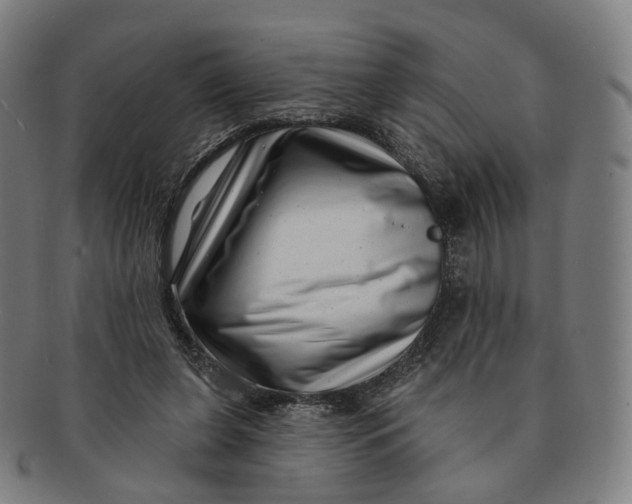 X0000091000255200708241456