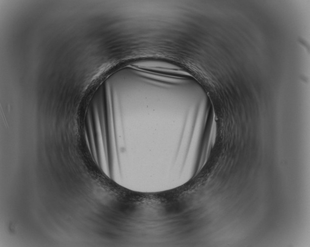 X0000091000256200708241456