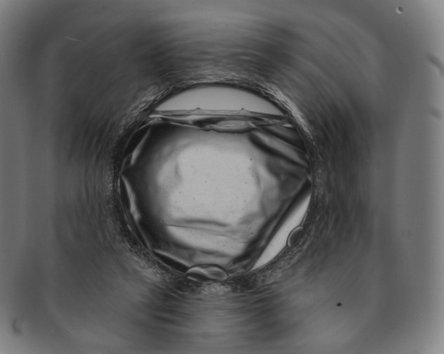 X0000091000257200708241456