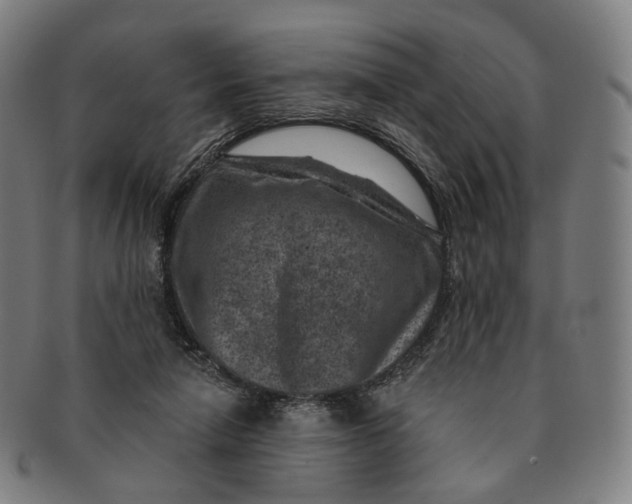 X0000091000258200708241456