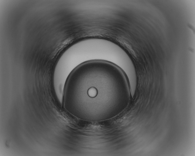 X0000091000260200708241456