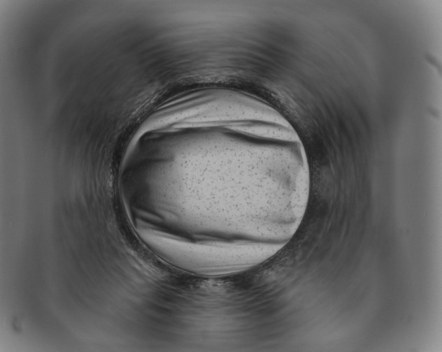 X0000091000261200708241456