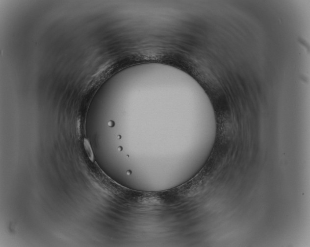 X0000091000262200708241456