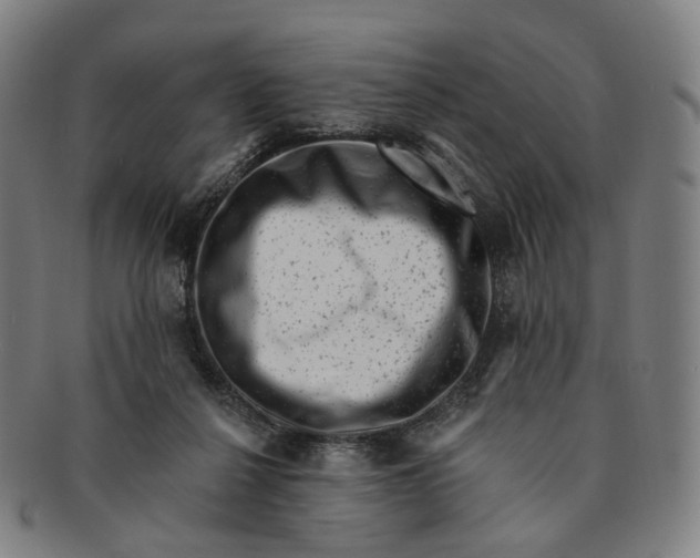 X0000091000264200708241456