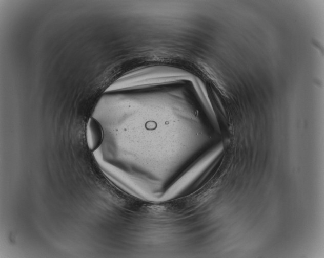 X0000091000265200708241456