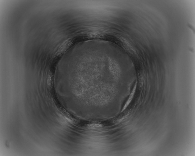 X0000091000266200708241456