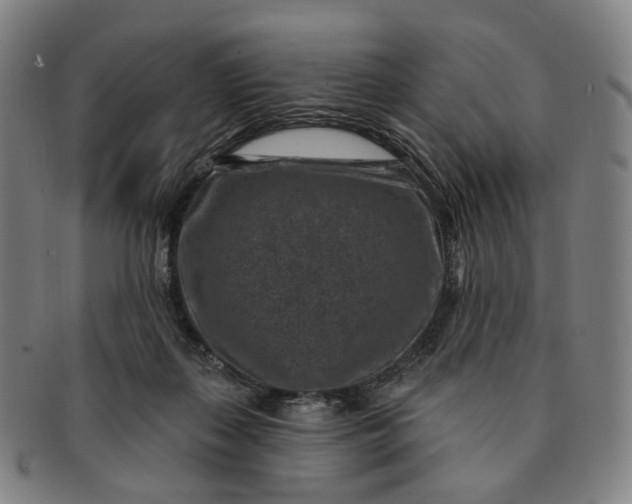 X0000091000267200708241456