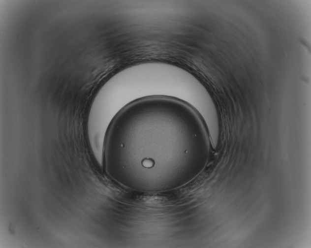 X0000091000268200708241457