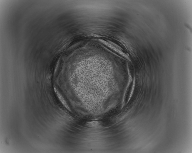 X0000091000269200708241457